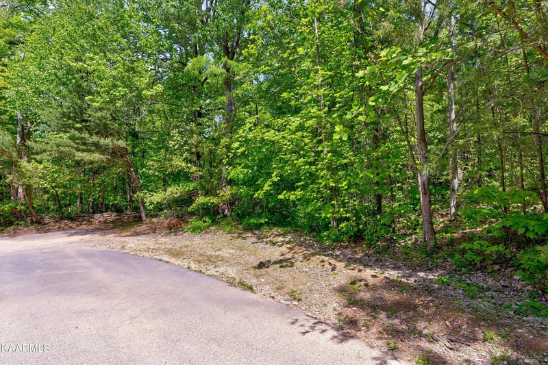 650 Silver Poplar Ln, Sevierville, TN 37876