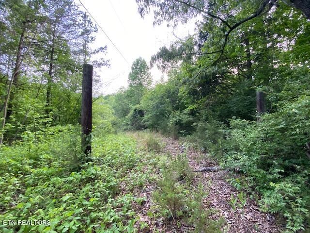 6500 Pine Grove Rd, Knoxville, TN 37914