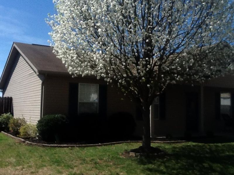 6509 Hugh Willlis Rd, Powell, TN 37849