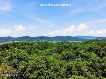 6519 Smoky Mountain Ct, Russellville, TN 37860