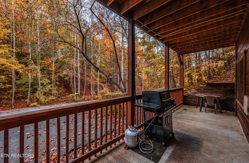 653 Eagles Boulevard Way, Pigeon Forge, TN 37863