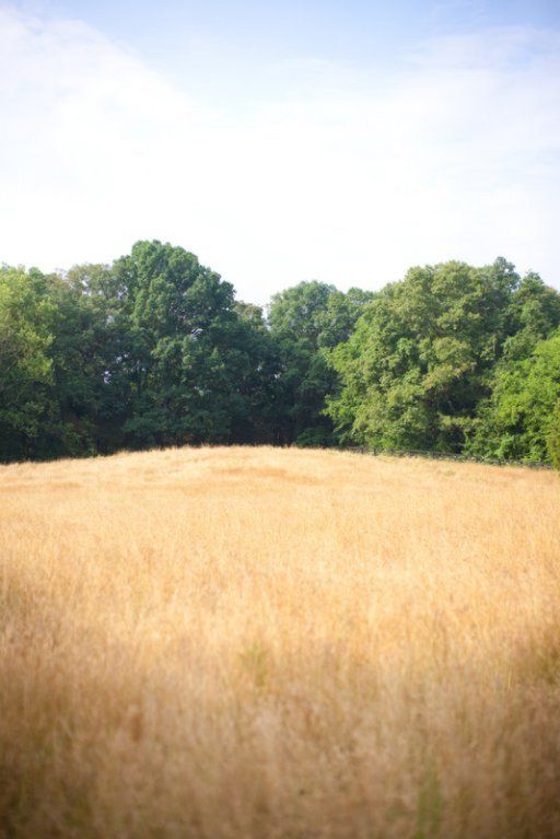655 Dixon Rd, Lenoir City, TN 37772