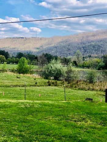 655 Newcomb Loop Rd, Newcomb, TN 37819