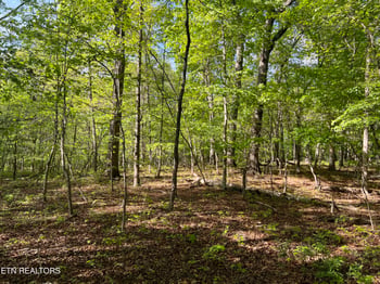 658ac Peavine Firetower Rd, Crossville, TN 38571