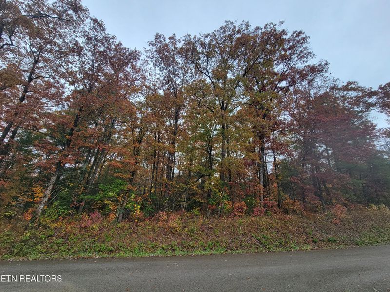 6605 Grave Hill Rd, Oneida, TN 37841