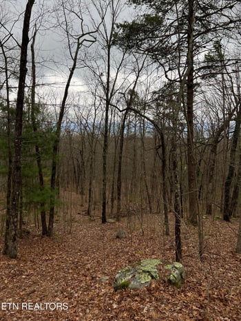 6637 Avens Ln, Tallassee, TN 37878
