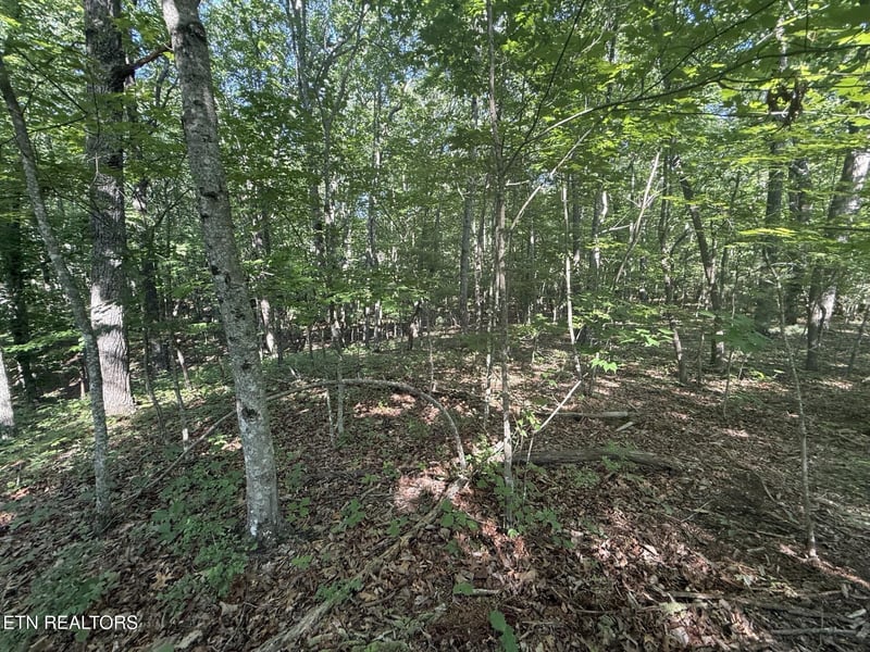 664 Catoosa Blvd, Crossville, TN 38558