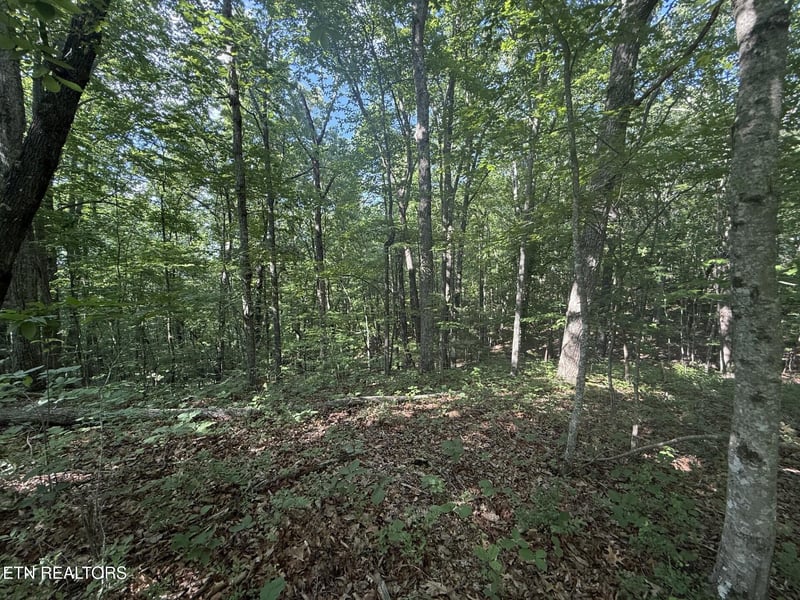 664 Catoosa Blvd, Crossville, TN 38558
