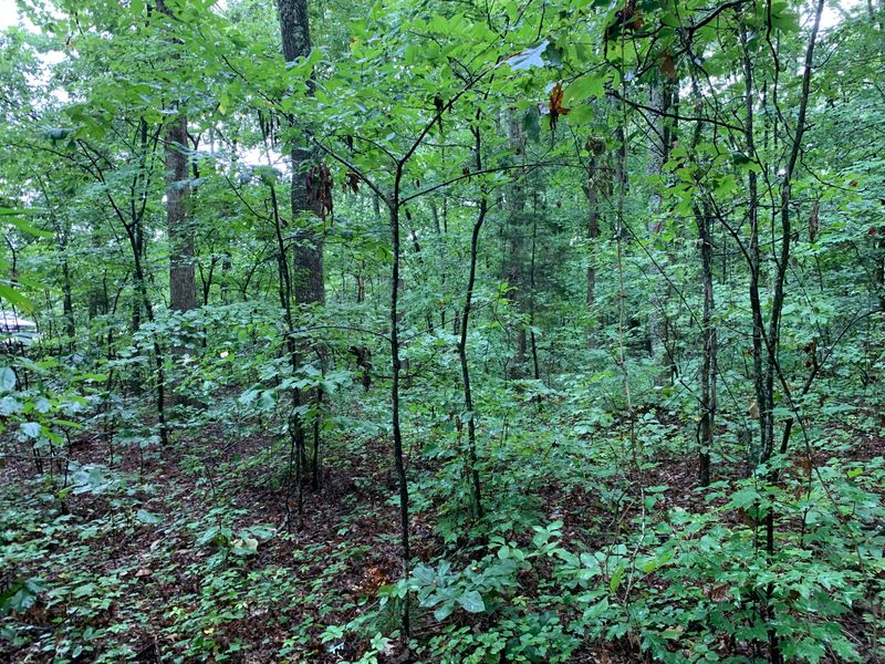 6648 Crye Rd, Maryville, TN 37801