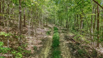 6671 Avens Ln, Tallassee, TN 37878