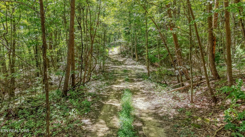 6671 Avens Ln, Tallassee, TN 37878