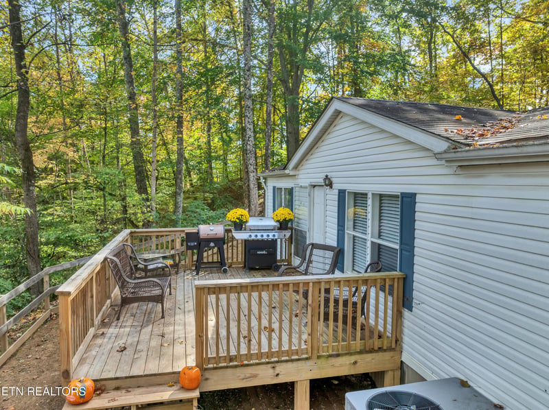 668 Self Hollow Rd, Rockford, TN 37853