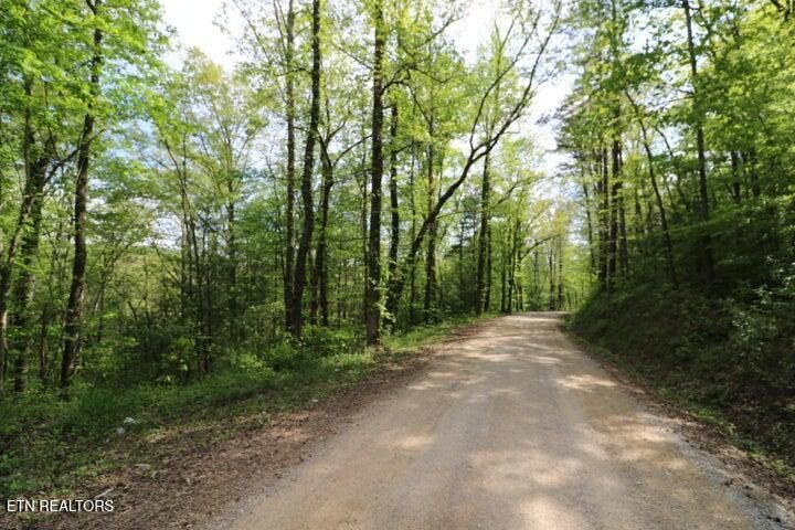 669 Low Gap Rd, Helenwood, TN 37755