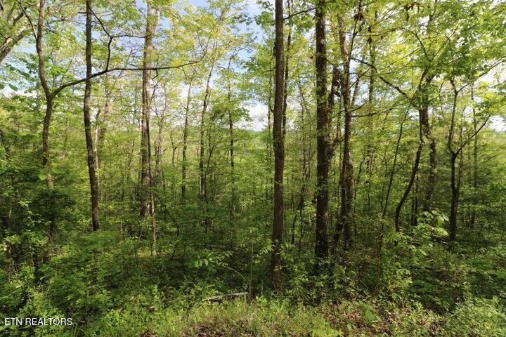 669 Low Gap Rd, Helenwood, TN 37755