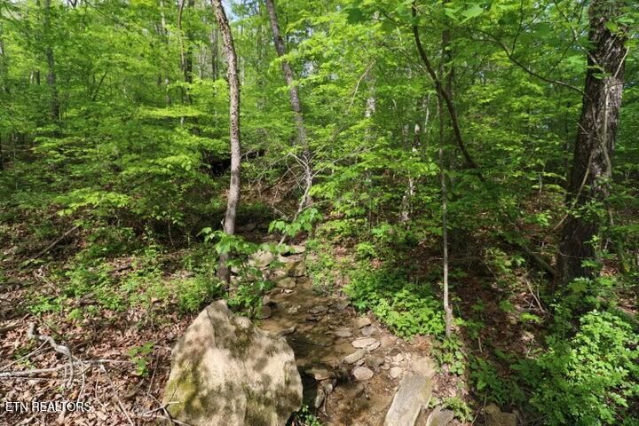 669 Low Gap Rd, Helenwood, TN 37755