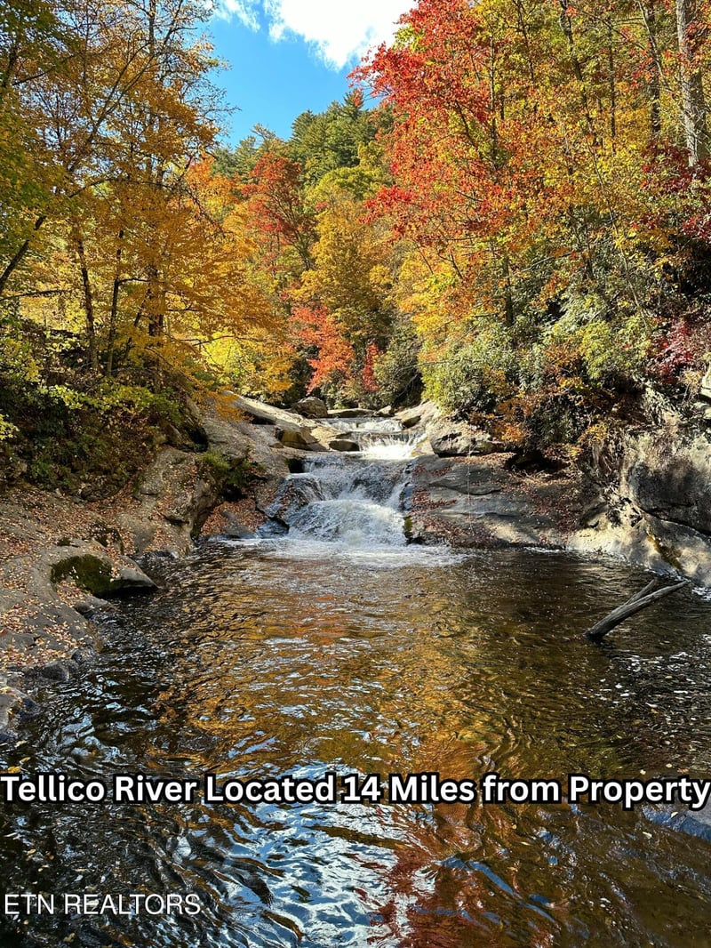 669 Pond Ridge Rd, Tellico Plains, TN 37385