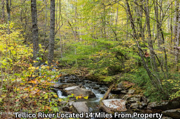 669 Pond Ridge Rd, Tellico Plains, TN 37385