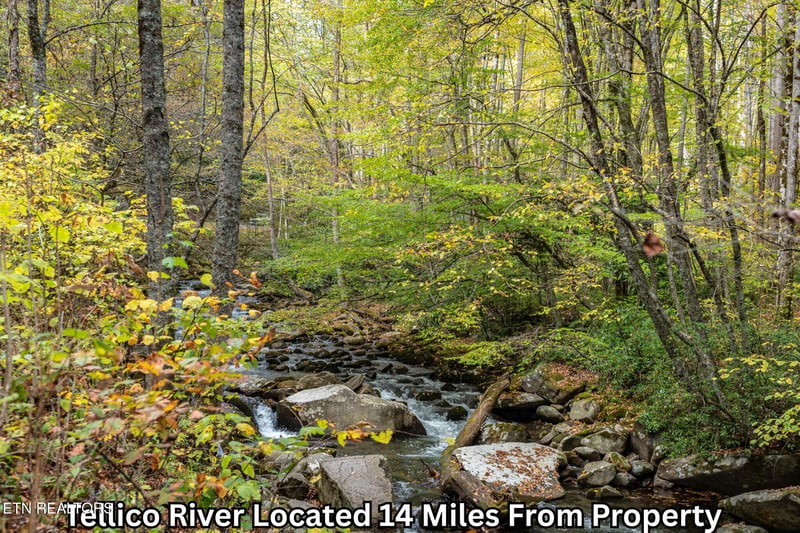 669 Pond Ridge Rd, Tellico Plains, TN 37385