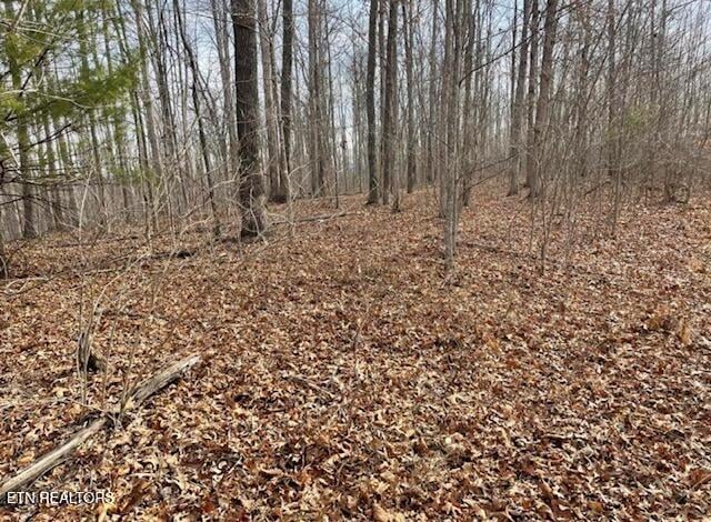 67.86 Ac Junior Cox Rd, Deer Lodge, TN 37726
