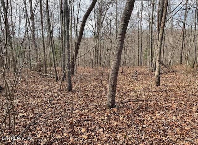 67.86 Ac Junior Cox Rd, Deer Lodge, TN 37726