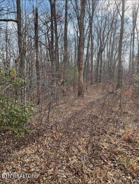 67.86 Ac Junior Cox Rd, Deer Lodge, TN 37726