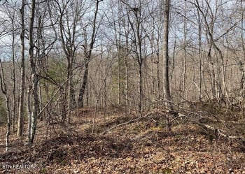 67.86 Ac Junior Cox Rd, Deer Lodge, TN 37726