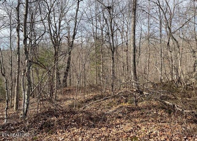 67.86 Ac Junior Cox Rd, Deer Lodge, TN 37726