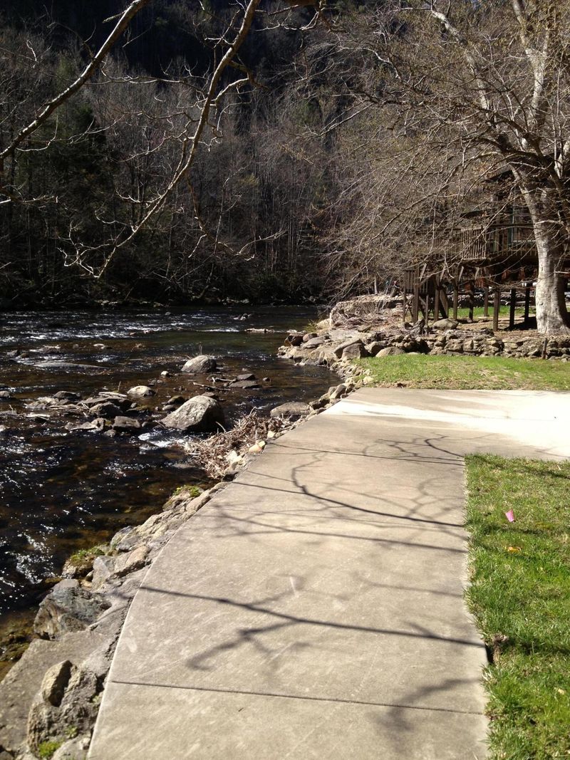 6706 Old Walland Hwy, Townsend, TN 37882