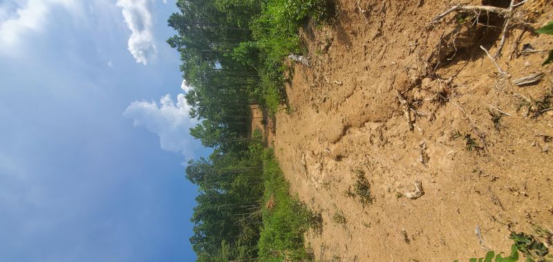 671 Caney Creek Rd, Harriman, TN 37748