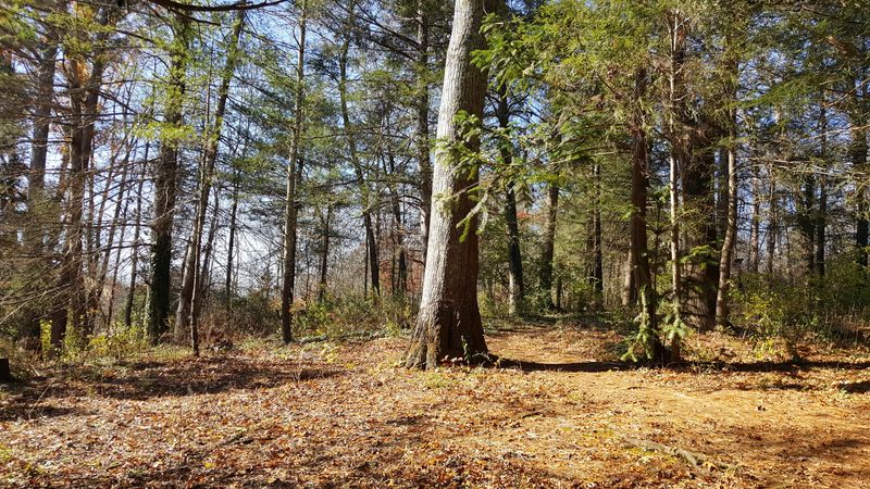 671 Reagan Valley Rd, Tellico Plains, TN 37385
