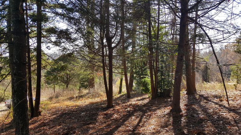 671 Reagan Valley Rd, Tellico Plains, TN 37385
