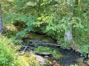 674 Paint Rock Rd, Philadelphia, TN 37846