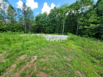 674 Rhodas Way, Sunbright, TN 37872