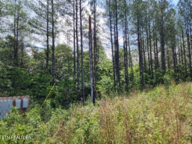 674 Rhodas Way, Sunbright, TN 37872