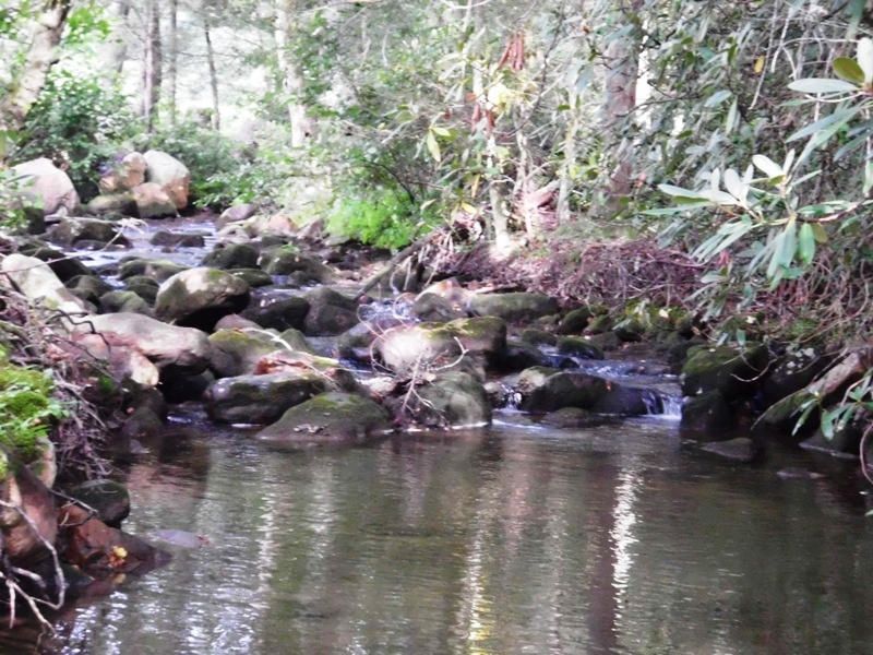 675 Creek Rd, Reliance, TN 37369