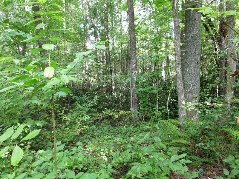 675 Creek Rd, Reliance, TN 37369