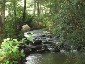 675 Creek Rd, Reliance, TN 37369