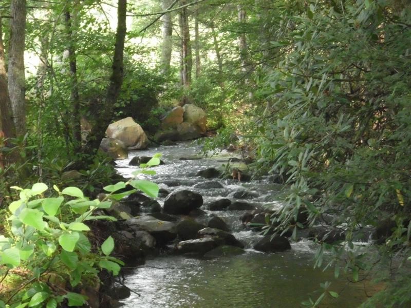 675 Creek Rd, Reliance, TN 37369