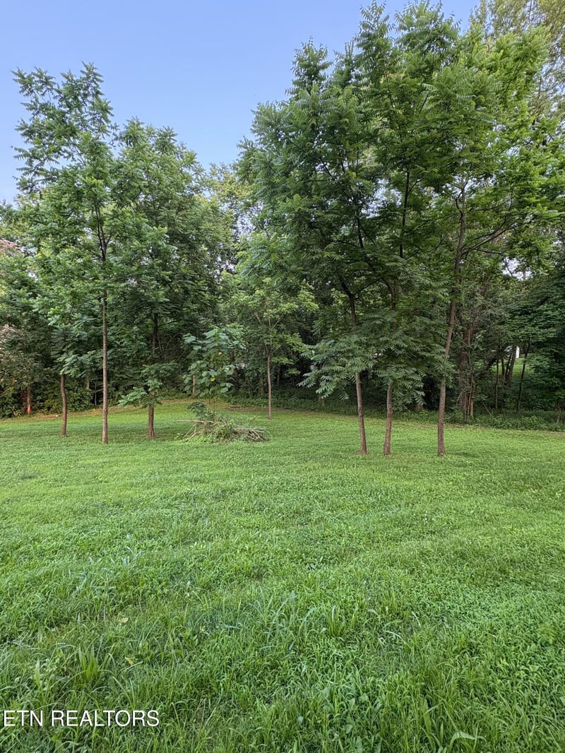675 Riverview Rd, Lenoir City, TN 37771