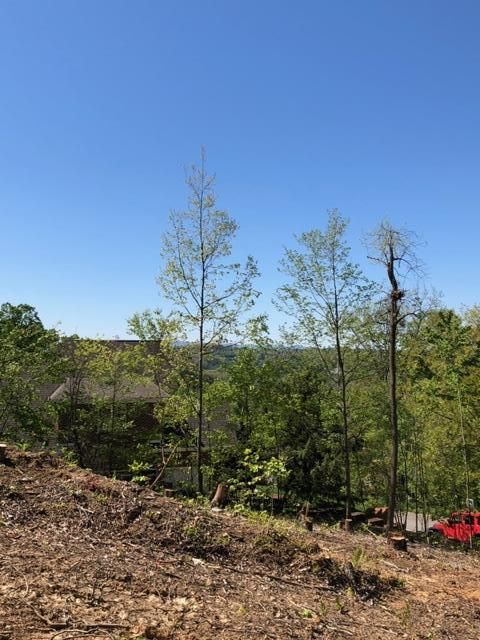 6751 Shadow Ridge Dr, Knoxville, TN 37918
