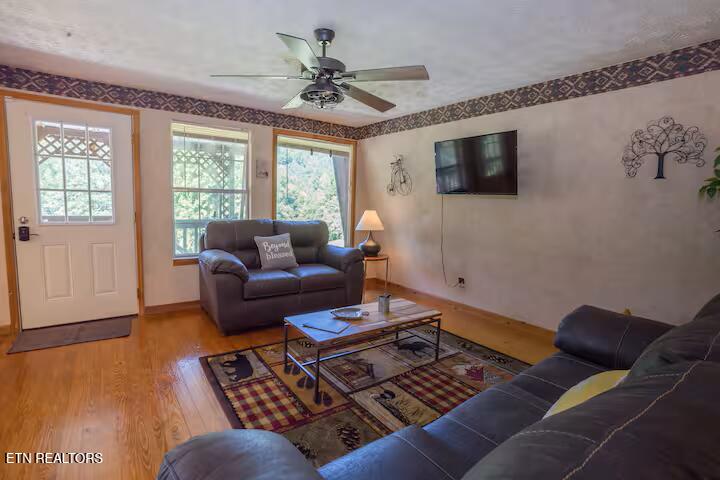 676 Rocky Flats Rd, Cosby, TN 37722