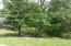 6765 Ingleside Ln, Knoxville, TN 37918