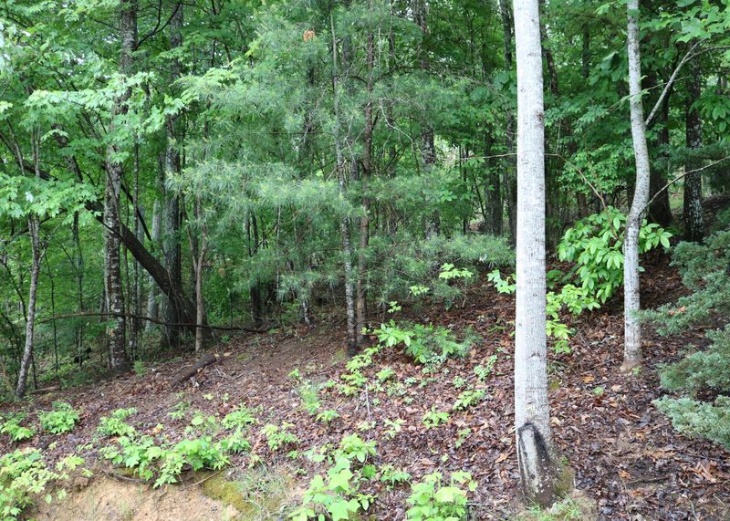 68 Chelteham Ln, Crossville, TN 38558