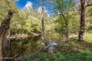 6806 Walnut Loop Rd, Townsend, TN 37882