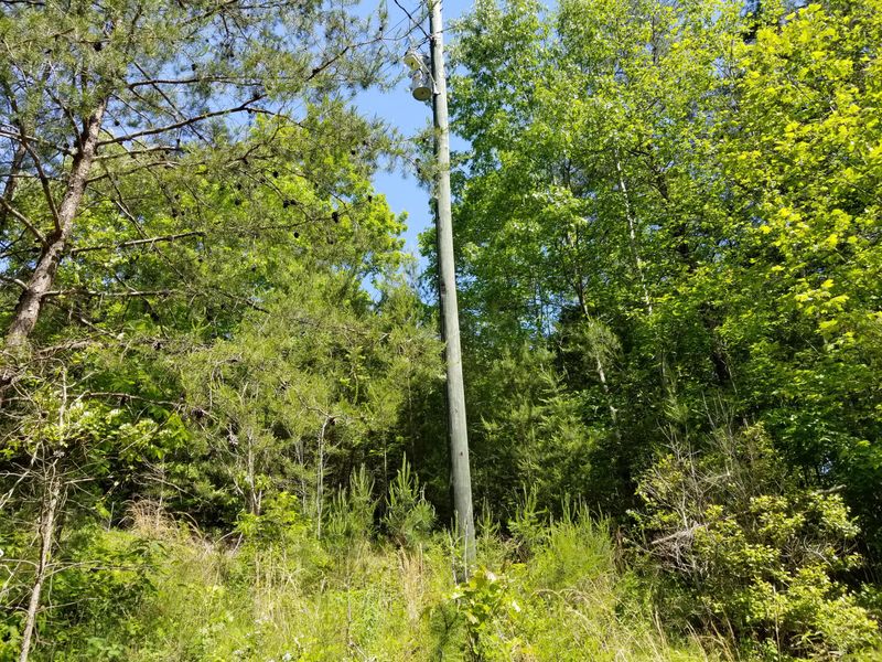6835 Four Mile Rd, Maryville, TN 37803
