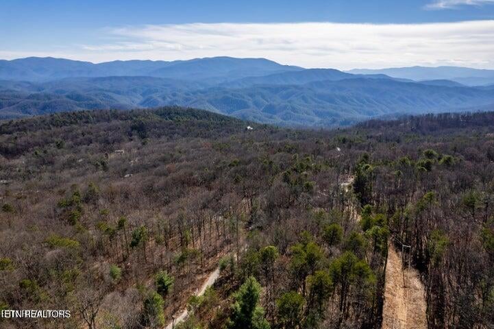 6838 Flats Rd, Tallassee, TN 37878