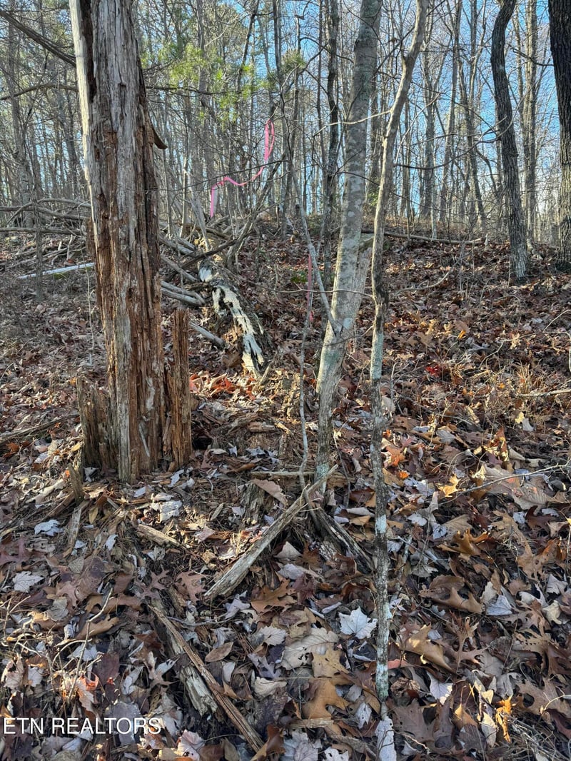 6838 Flats Rd, Tallassee, TN 37878