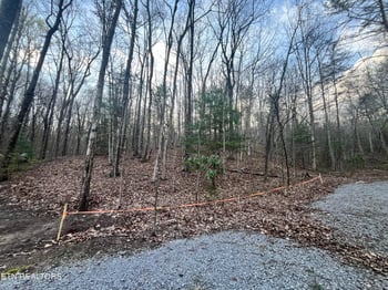 6871 Holiday Dr, Tallassee, TN 37878