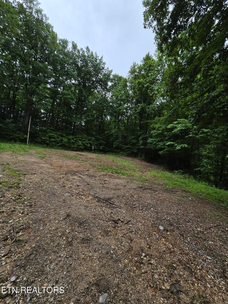 689 Ivey Hollow Rd, Lafollette, TN 37766