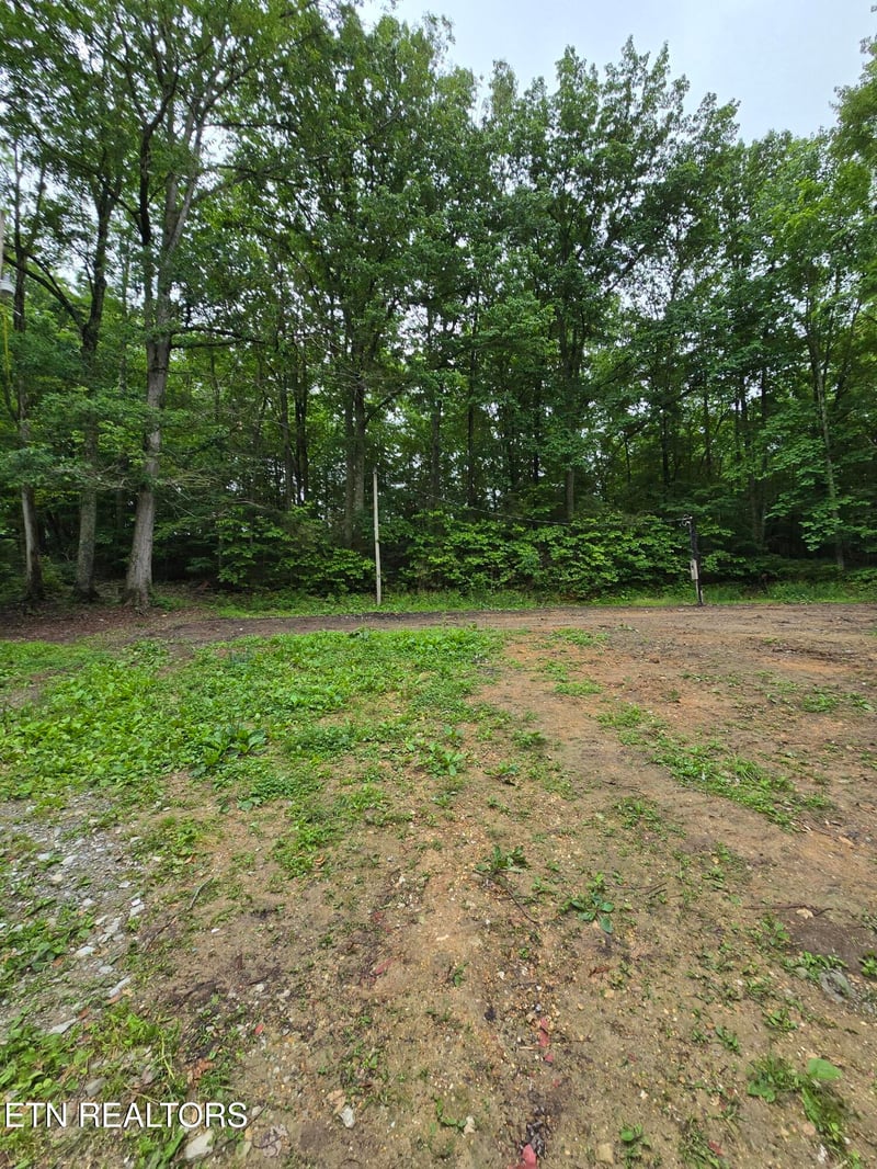 689 Ivey Hollow Rd, Lafollette, TN 37766